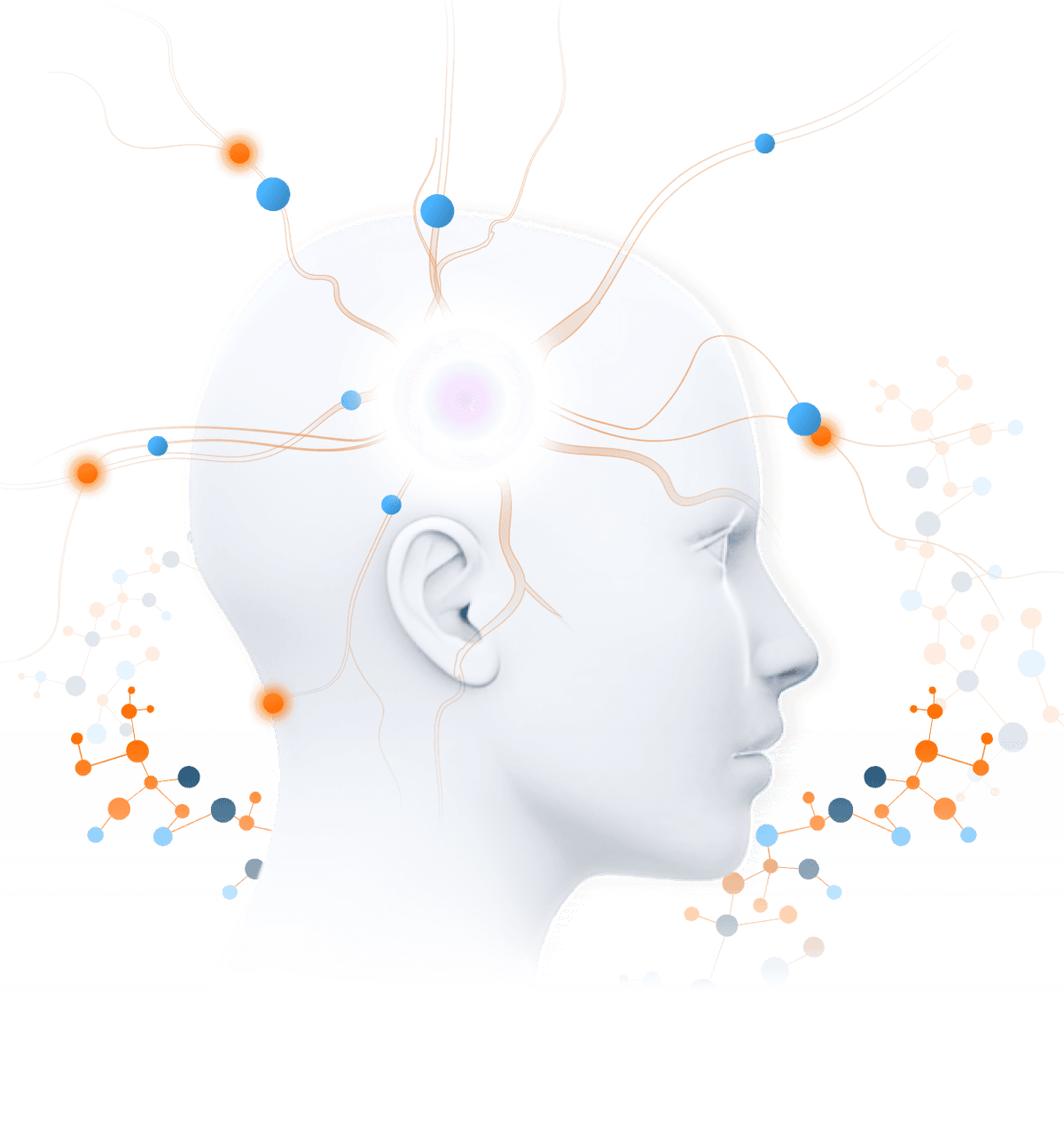 brain learning visual