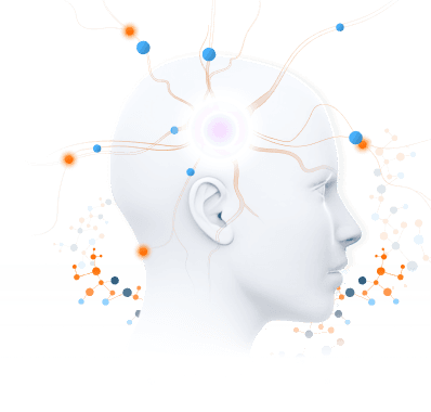 brain learning visual