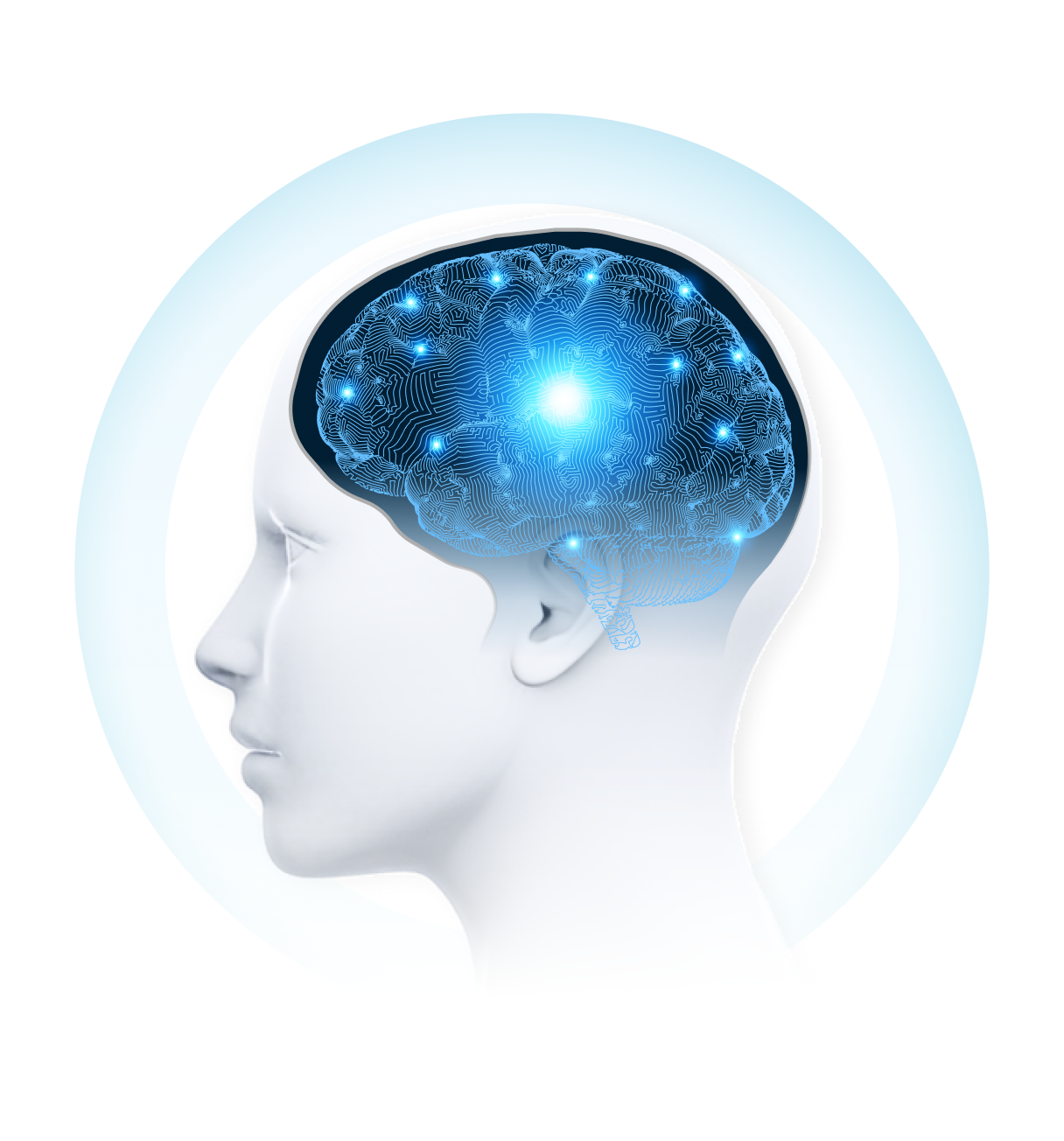 brain learning visual