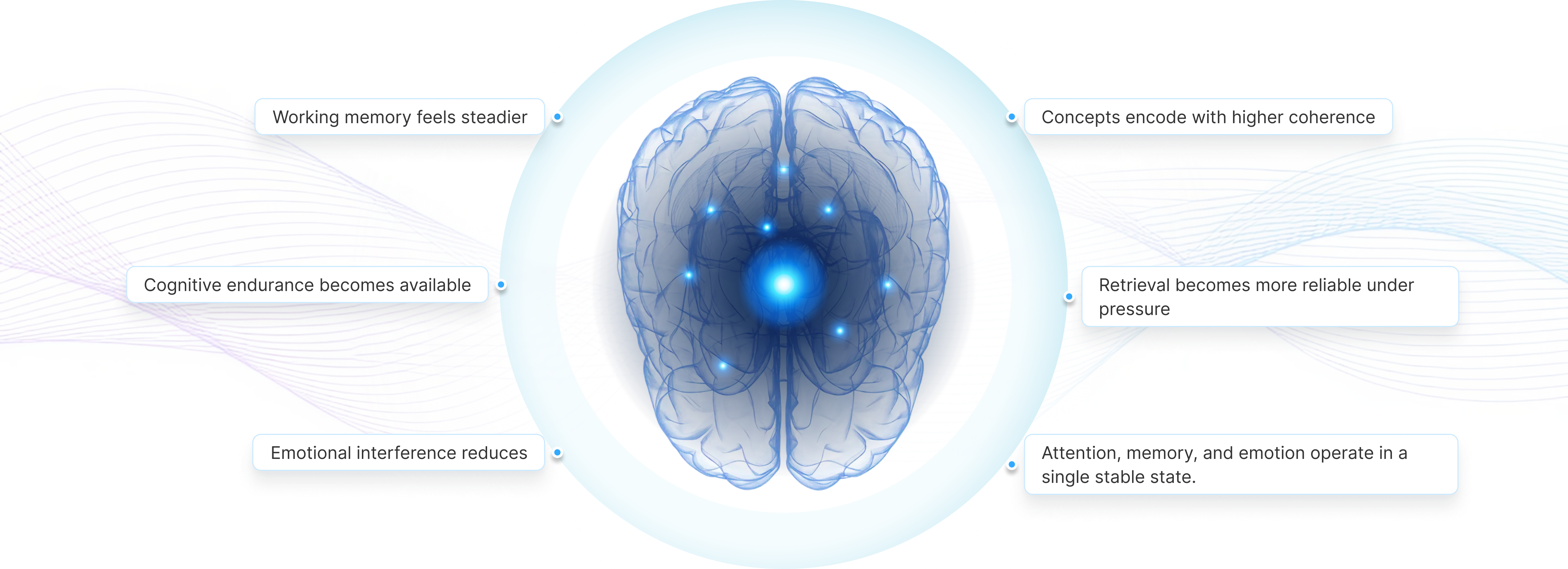 Alpha Learner Mode - What it Does