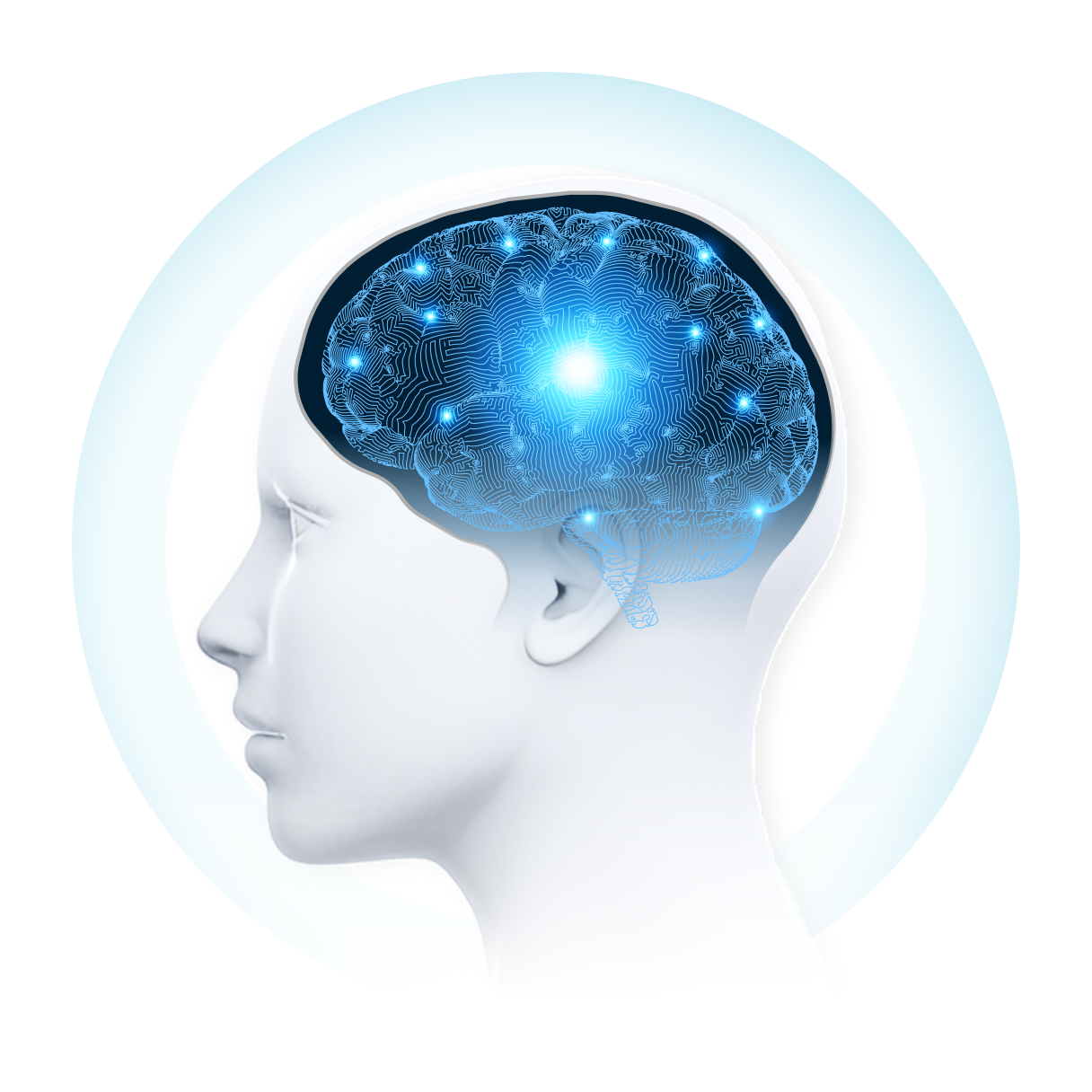 Alpha Learner Activation Protocol™