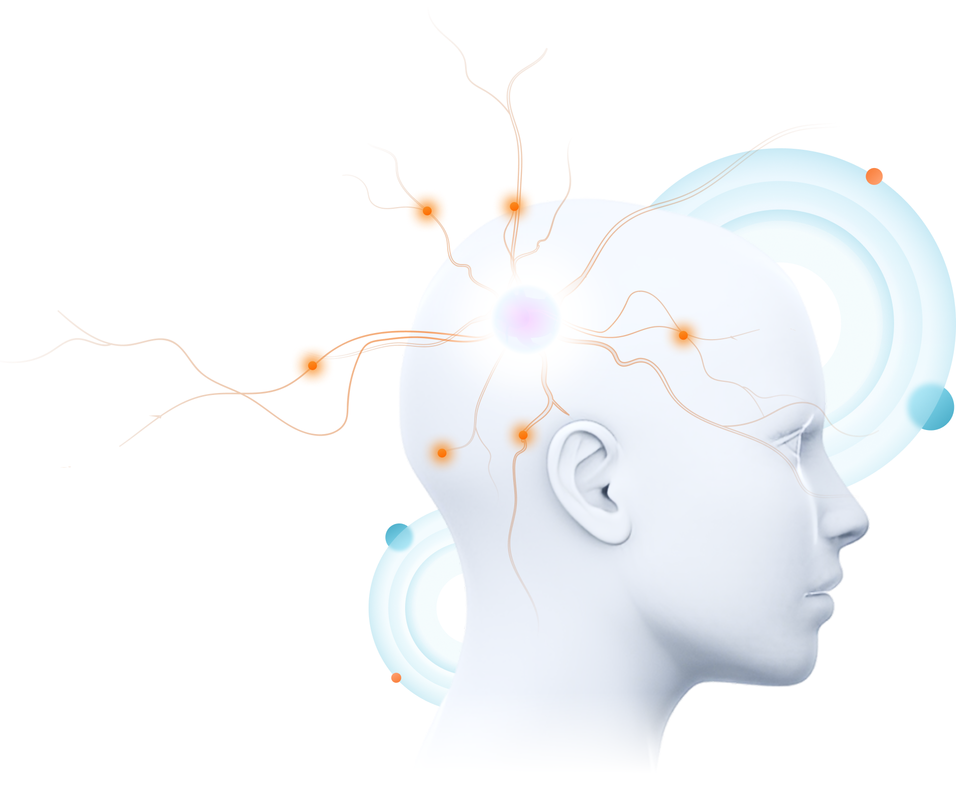 brain learning visual