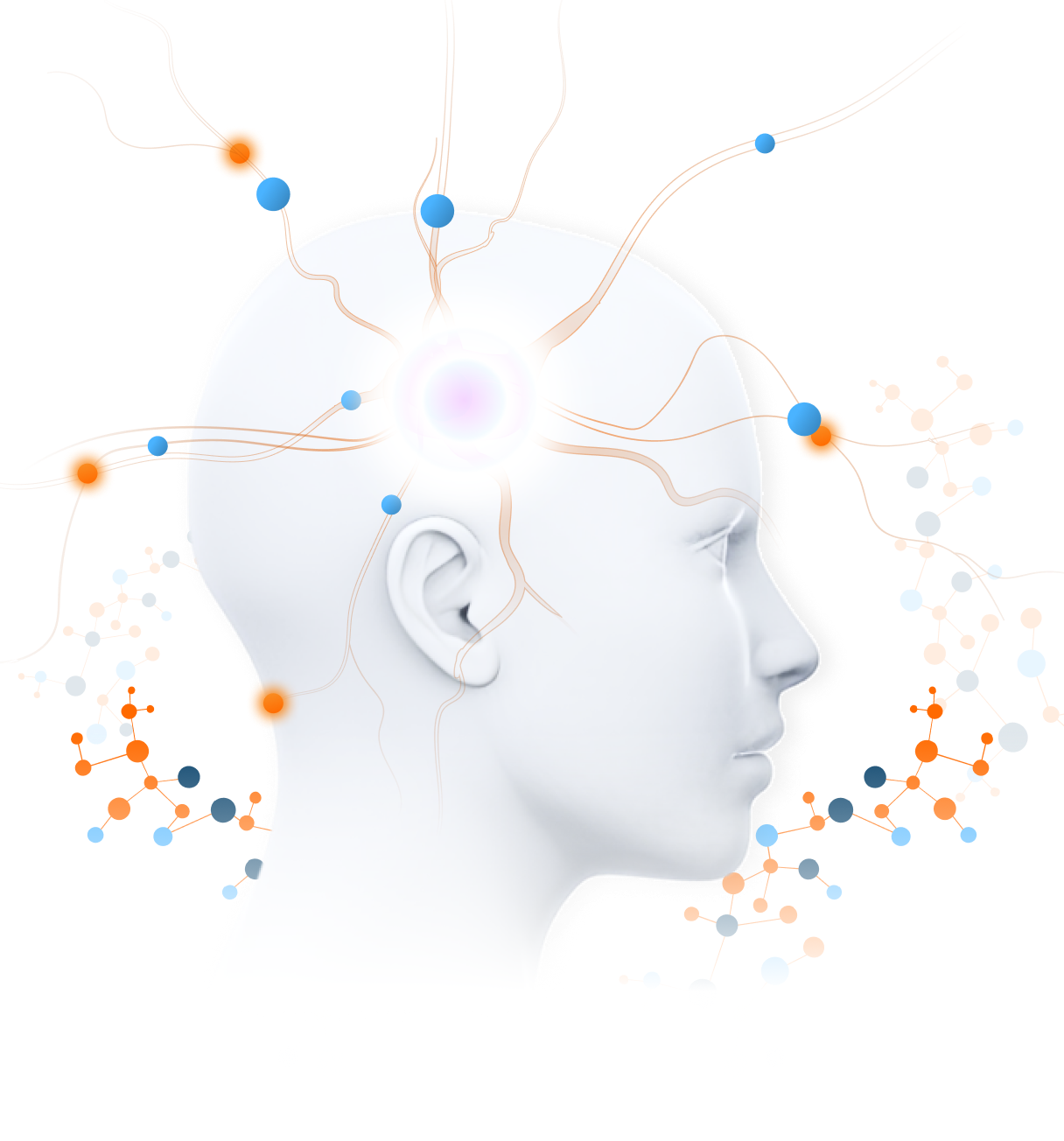 brain learning visual