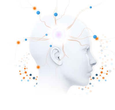 brain learning visual